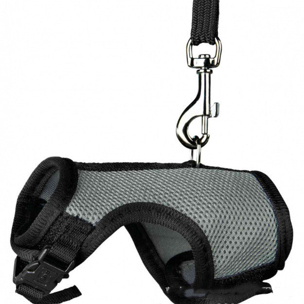 Why Your Small Pet Needs This Leash